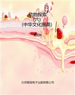 动物探索（六）（中华文化撷