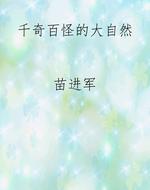 千奇百怪的大自然