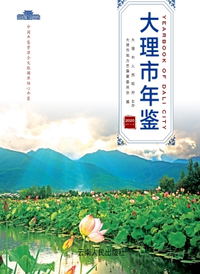 大理市年鉴（2020）