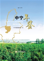 中宁年鉴（2012-2013）
