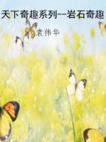 天下奇趣系列--岩石奇