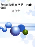 自然科学故事丛书--闪