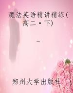 魔法英语精讲精练（高二