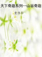 天下奇趣系列--山谷奇