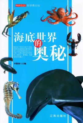 科学博士站