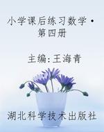 小学课后练习数学·第