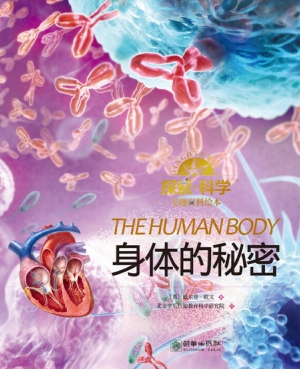 身体的秘密