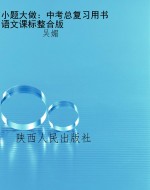 小题大做：中考总复习用