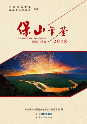 保山年鉴（2018）——经济