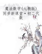 魔法数学(人教版)同步