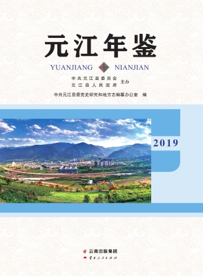 元江年鉴（2019）