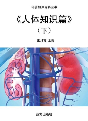 人体知识篇（下）