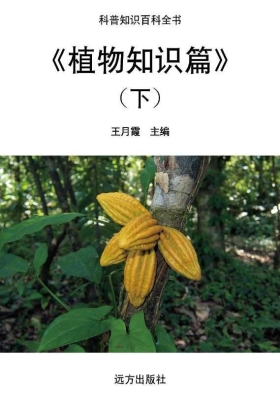 植物知识篇（下）