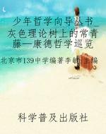 少年哲学向导丛书_灰