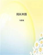 局长末路