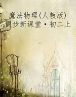 魔法物理（人教版）同步新