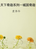 天下奇趣系列--城国奇