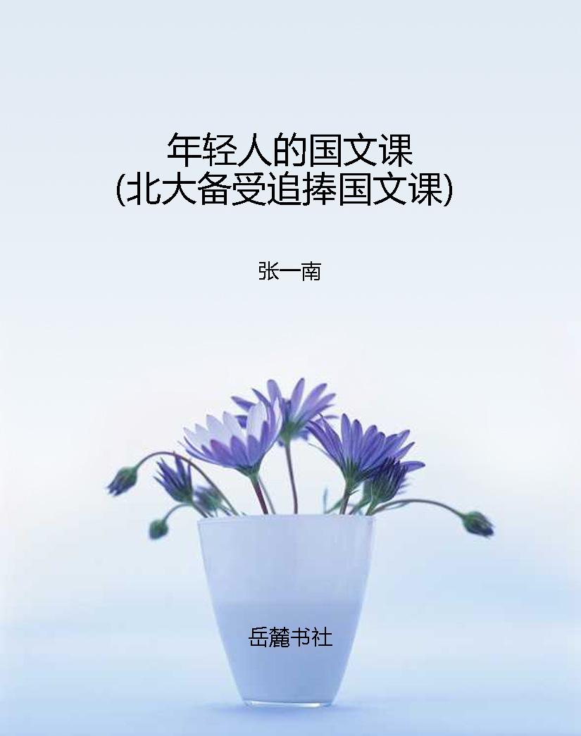 年轻人的国文课（北大备