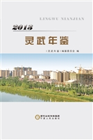 灵武年鉴（2013）