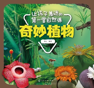 让孩子着迷的第一堂自