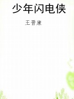 少年闪电侠