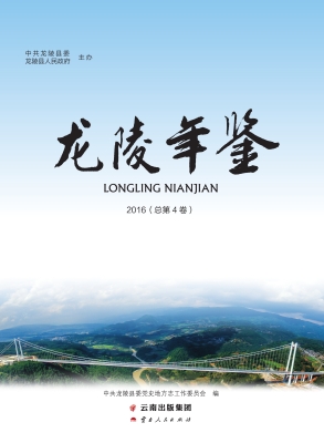 龙陵年鉴 2016（总第4卷