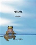 新探案记