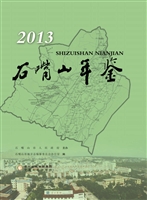 石嘴山年鉴（2013）