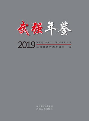 武强年鉴（2019）