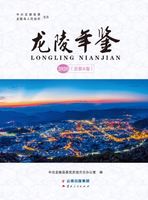 龙陵年鉴（2020）