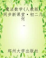 魔法数学（人教版）同步新