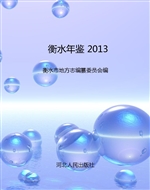 衡水年鉴 2013