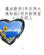 魔法数学（华东师大课标