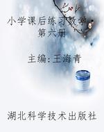 小学课后练习数学·第
