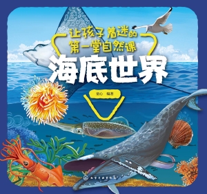 让孩子着迷的第一堂自