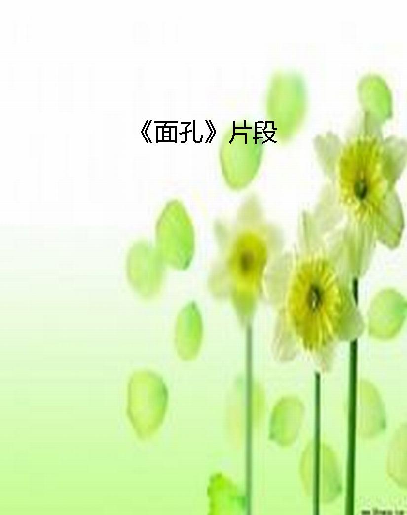 《面孔》片段