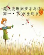 魔法物理同步学与练高