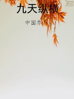 九天纵横