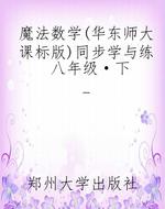 魔法数学（华东师大课标