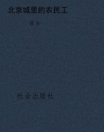 北京城里的农民工