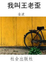 我叫王老歪