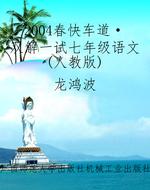 2004春《快车道·双解