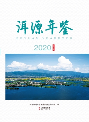 洱源年鉴（2020）