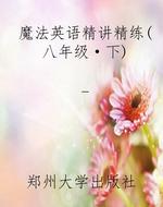 魔法英语精讲精练（八年