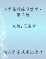 小学课后练习数学·第