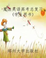 魔法英语高考总复习(