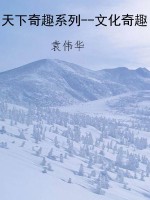 天下奇趣系列--文化奇