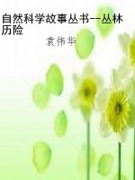 自然科学故事丛书--丛
