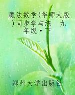 魔法数学(华师大版)同