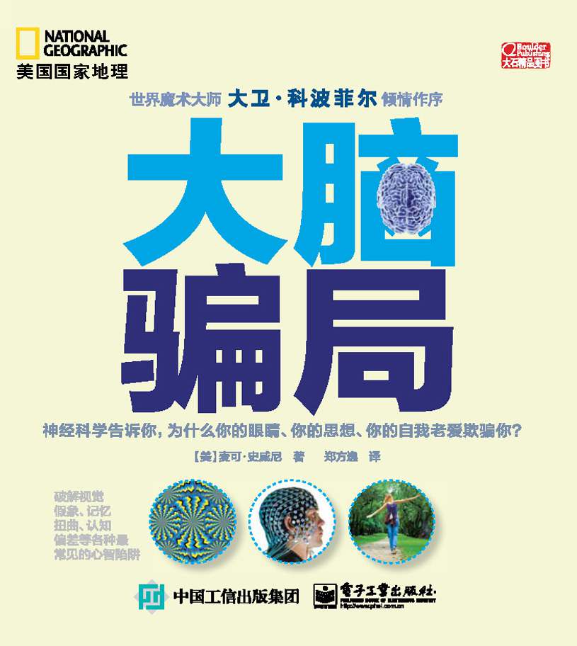 大脑骗局